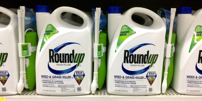 does roundup cause cancer