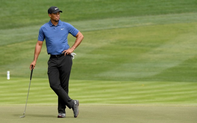 tiger woods lobster diving shirtless pic