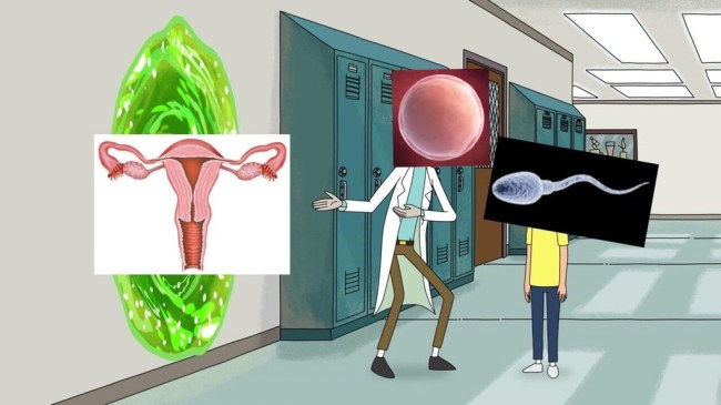 20 minute adventure meme