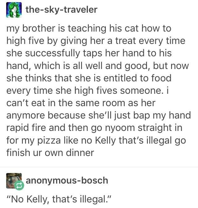 best of tumblr
