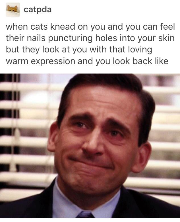 best of tumblr