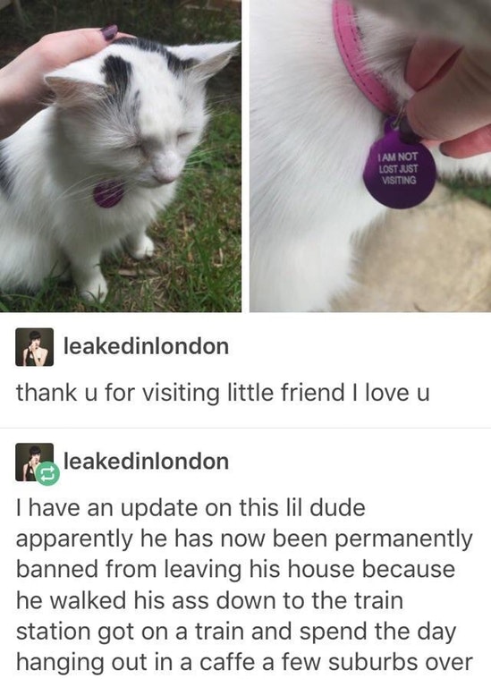 best of tumblr