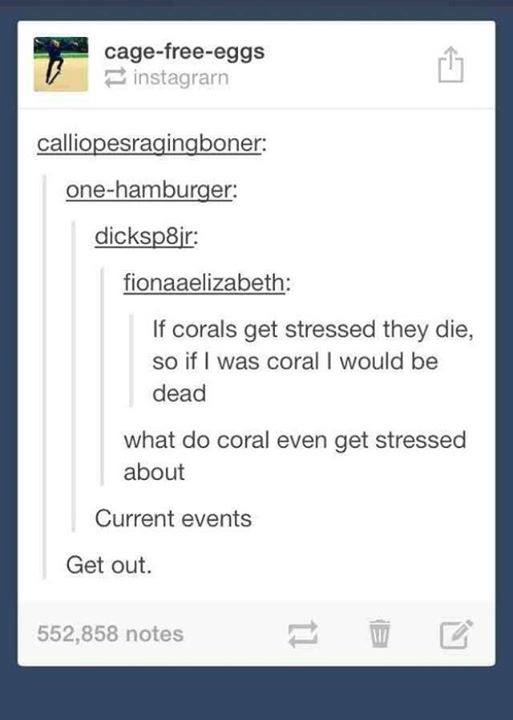 best of tumblr