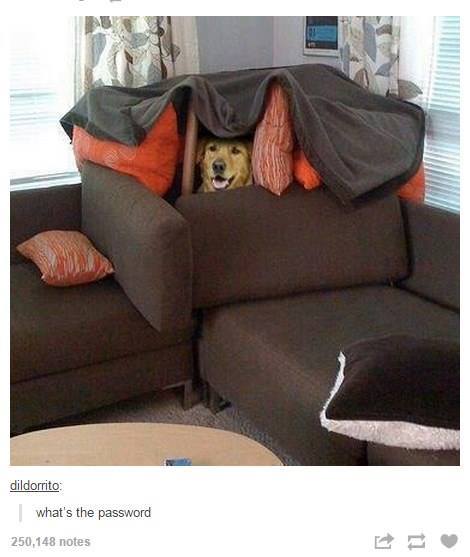 best of tumblr
