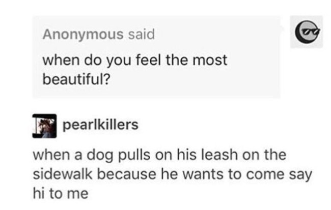 best of tumblr
