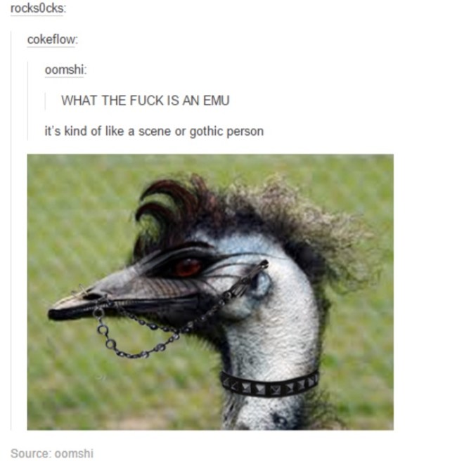 best of tumblr
