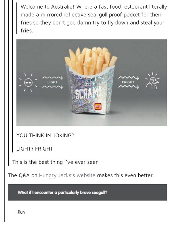 best of tumblr