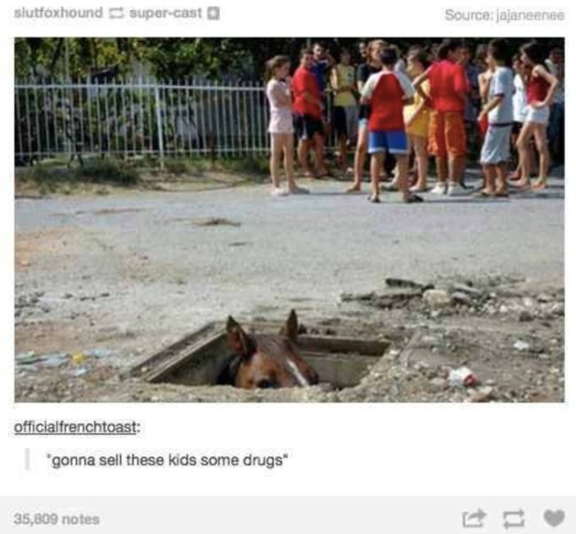 best of tumblr