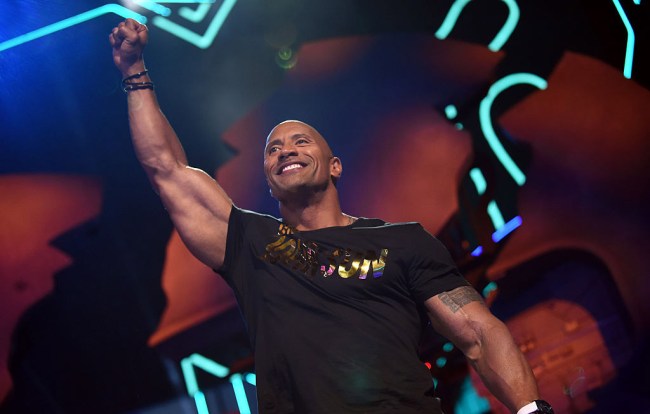 dwayne rock johnson choked out mma fighter