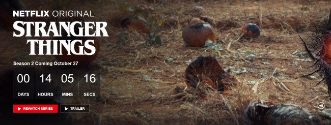 netflix stranger things countdown easter egg
