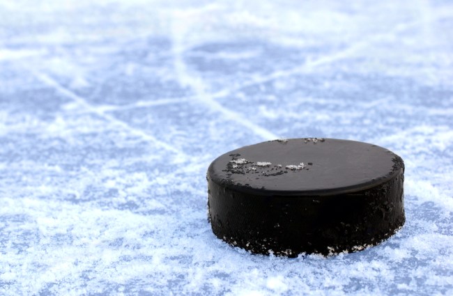 hockey puck