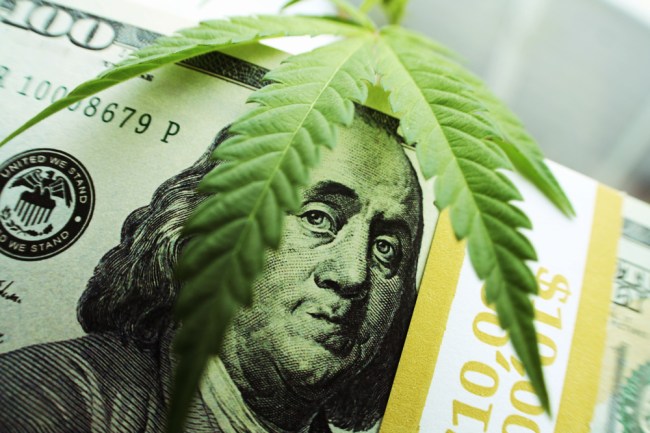 weed cannabis marijuana