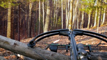 Mississippi Crossbow Hunter Bags ‘Freak Of Nature’ 36-Point Deer With The Craziest Rack Ever