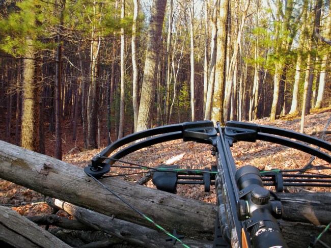 crossbow hunting
