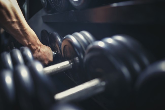 dumbbell workout