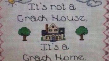 57 Of The Best Damn Photos On The Internet This Morning