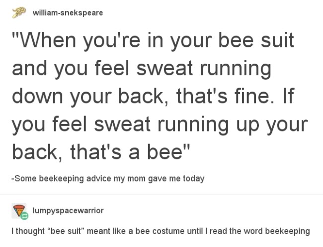 best tumblr jokes ever