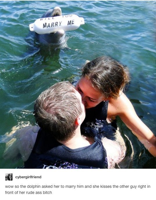 best tumblr jokes ever