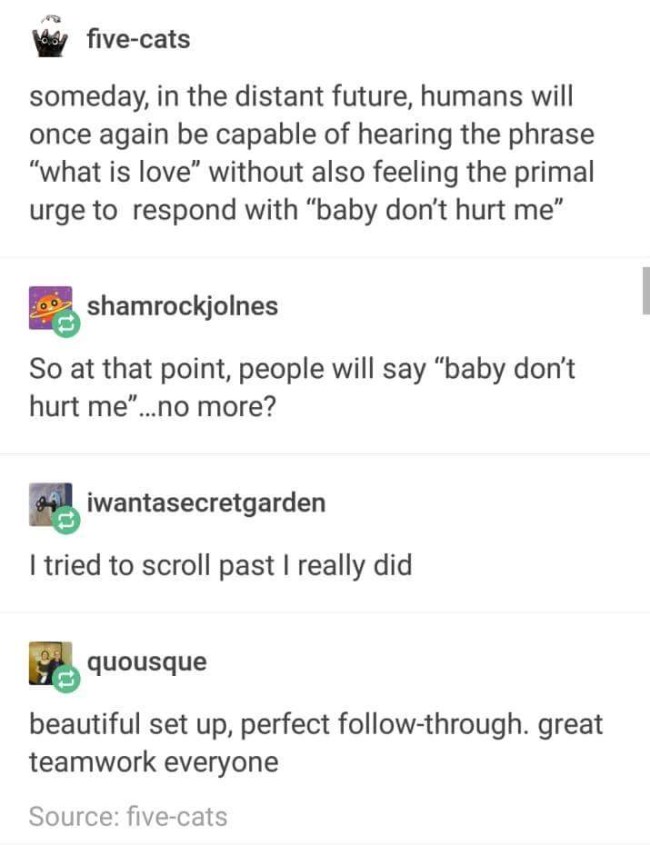 best tumblr jokes ever