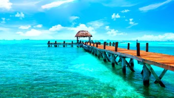 Want To Get Paid $60,000 Plus Expenses To Live Large In Cancun For Six Months? There’s A Job For That