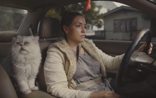 fake 1996 Honda Accord commercial
