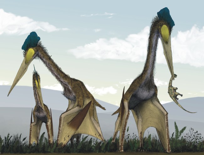 azhdarchids