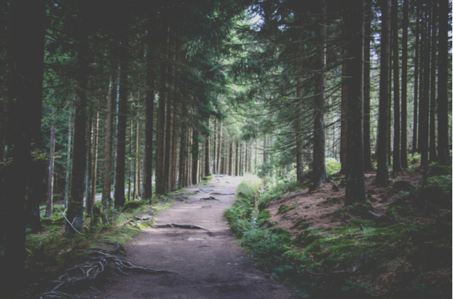 Pacific Crest Hiking Trail