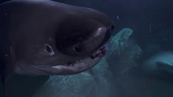 Crazy Sharks Attack A Submarine In Behind-The-Scenes Footage From ‘Blue Planet II’