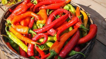 Get Out Of Your Food Rut And Learn Which Kinds Of Hot Sauces Pair Best With Food