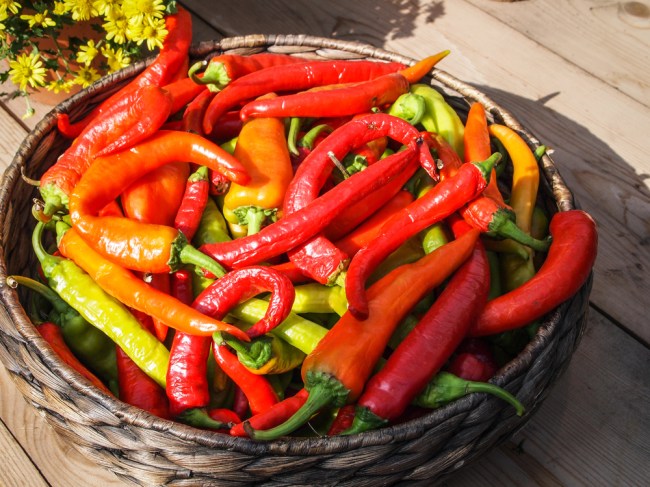 spicy chili peppers