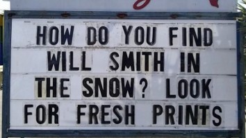 60 Of The Best Damn Photos On The Internet This Afternoon