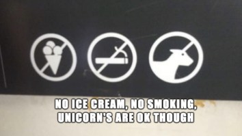 60 Of The Best Damn Photos On The Internet This Afternoon
