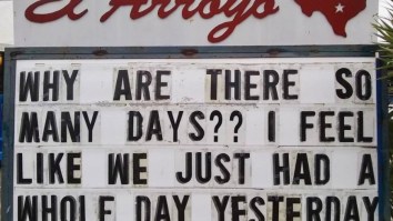 60 Of The Best Damn Photos On The Internet This Afternoon