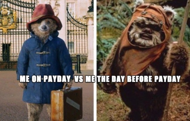 funny memes best of