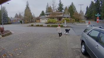 Nanny Springs Into Action To Chase Down Porch Pirate Who Stole Package From Home