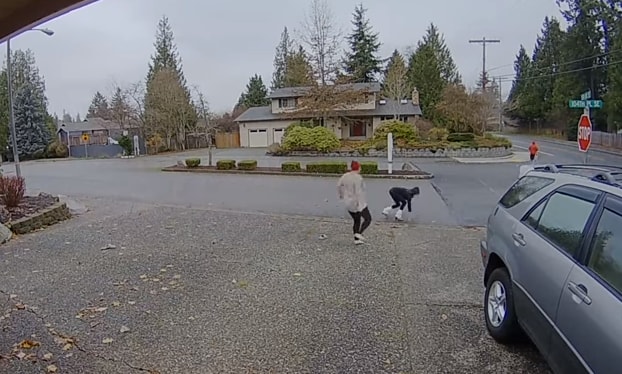 Nanny Catches Package Thief in the Act