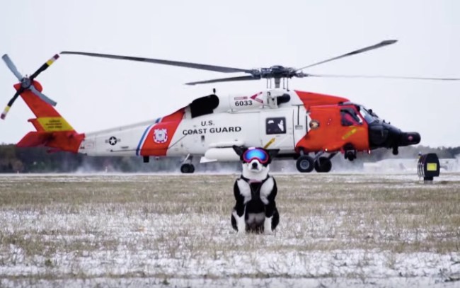 Piper Airport Bird Dog