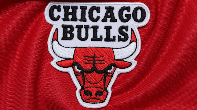 chicago bulls logo