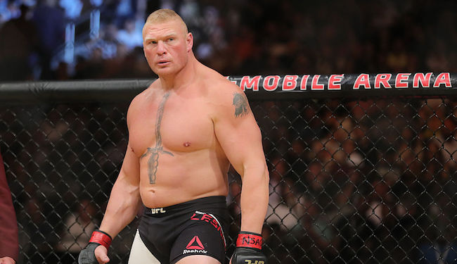 brock lesnar ufc 200