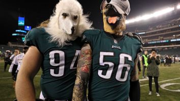 The Unknown Vegas Gambler Who Won $14 Million Letting It Ride In The World Series Is Betting Millions On The Eagles