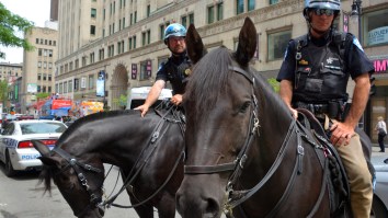 Eagles Fan Punches Police Horse And Cop After Being Ejected From Playoff Game