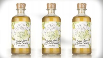 This Baked Apple And Salted Caramel Gin Is The Only Thing I Will Be Drinking This Summer
