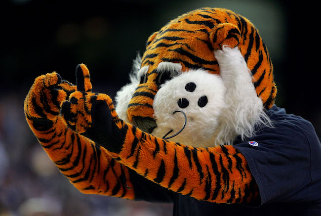 auburn tigers aubie mascot