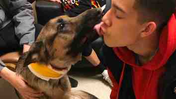 This Hero German Shepherd Took Three Bullets Protecting His Teen Owner