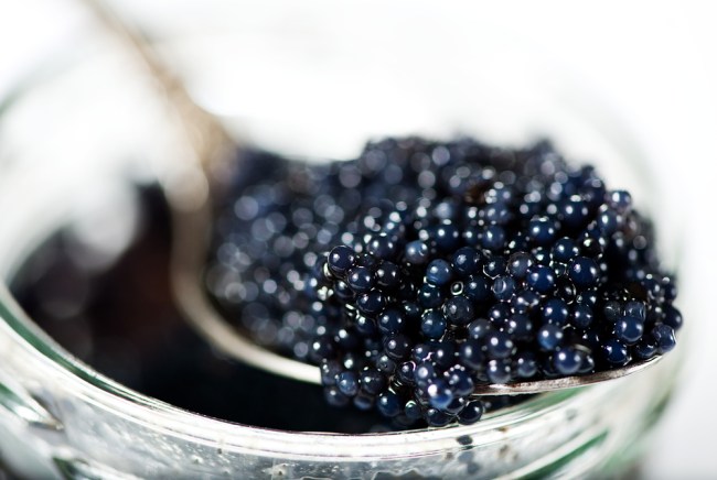 black caviar