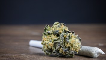 Annual Marijuana Sales Tops Liquor Sales In Aspen For The First Time In History