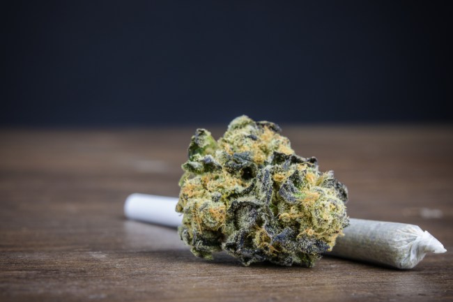 legal marijuana cannabis