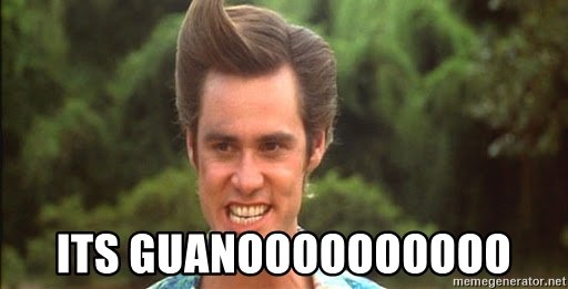 guano ace ventura