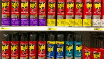 People Are Smoking Bug Spray To Get High And Perhaps It Is Time To Reconsider Everything