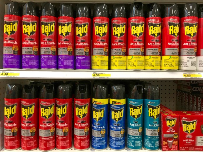 smoking bug spray